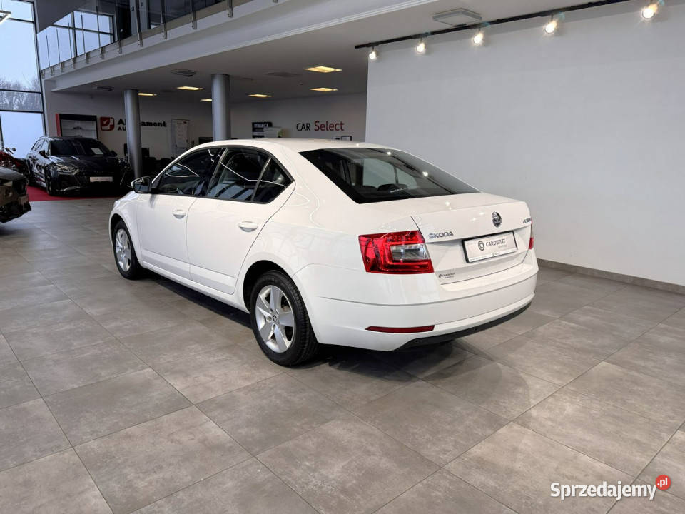koda Octavia Ambition 16TDI 115 M5 2019 r salon Octavia
