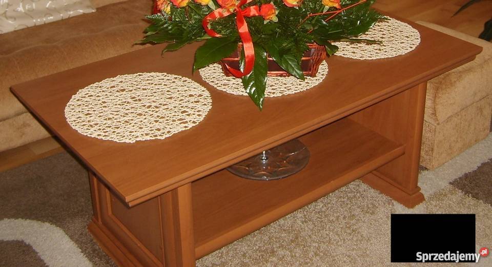 Meble do salonu wielkopolskie