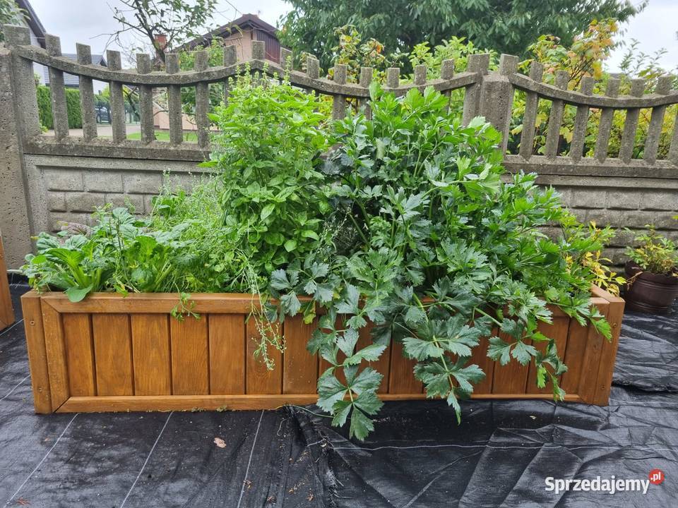 Warzywnik drewniany skrzynia ogrodowa zielnik Kalety
