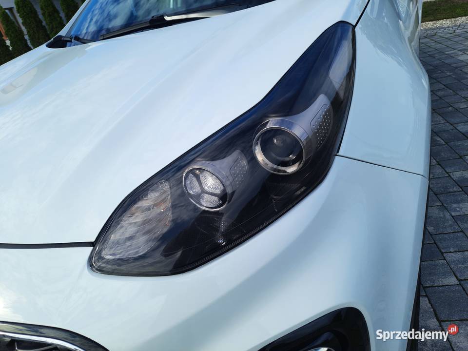 Kia Sportage 16GDI 132 2019r asystent pasa ruchu Kleszczów