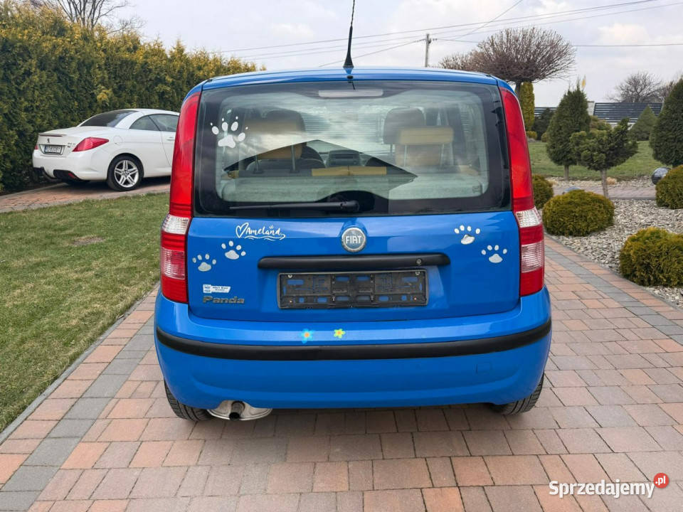 Fiat Panda Klimatyzacja bezwypadkowy II 20032012 Rok produkcji 2007 Rzeszów sprzedam