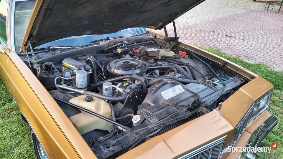 OLDSMOBILE DELTA 88 ROYALE 1980 53 Mil Salonowy łódzkie Zgierz sprzedam