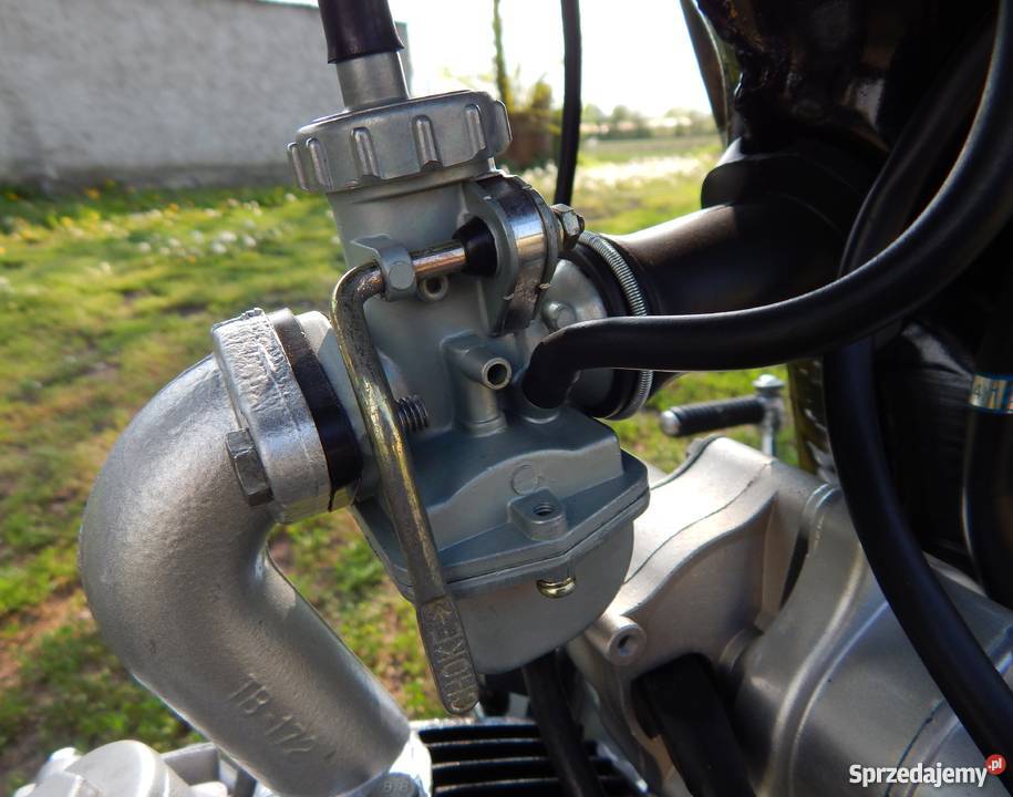 Barton Ranger Classic 8050 IGŁA NOWY