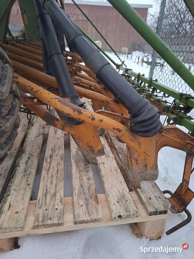 Siewnik amazone Wszachów