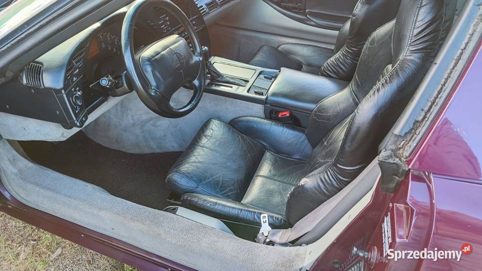 Piekna Coevette Kraczkowa