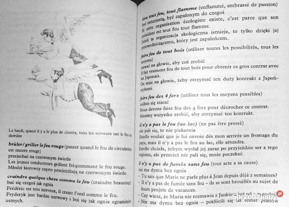 Szkolny leksykon idiomów francuskich CDauloudet lubelskie Chełm