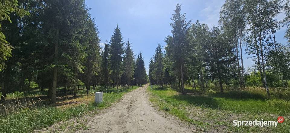 Działka bud 1202M2 WZ STUDNIE