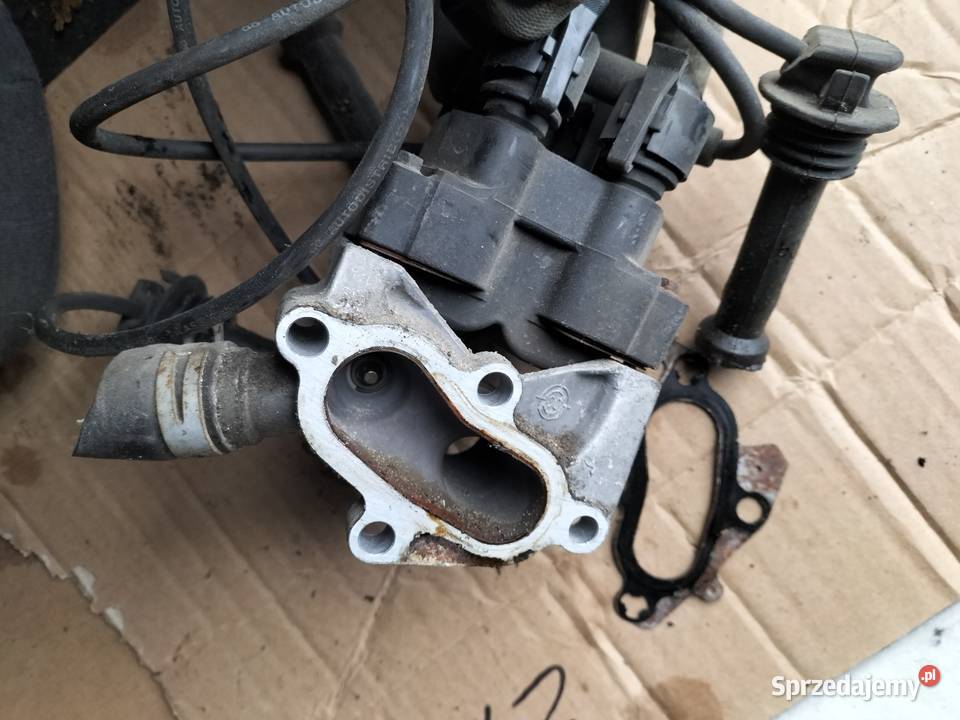 FIESTA MK5 MK6 14 KRUCIEC WODY CEWKA ZAPŁONOWA Kamień-Kolonia