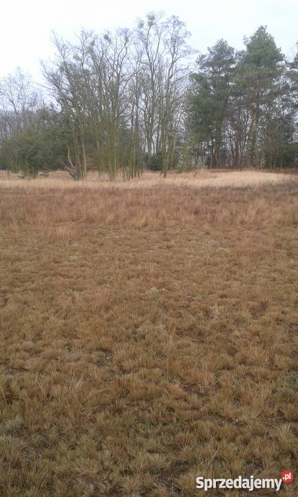 spokojne miejsce Arciechówek