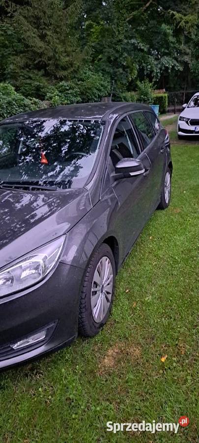 Ford focus 2015 Rok produkcji 2015 kujawsko-pomorskie Włocławek