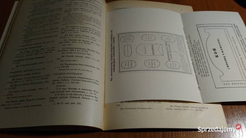 Athenaeum Józefa Ignacego Kraszewskiego Wanda literaturoznawstwo Gdańsk sprzedam