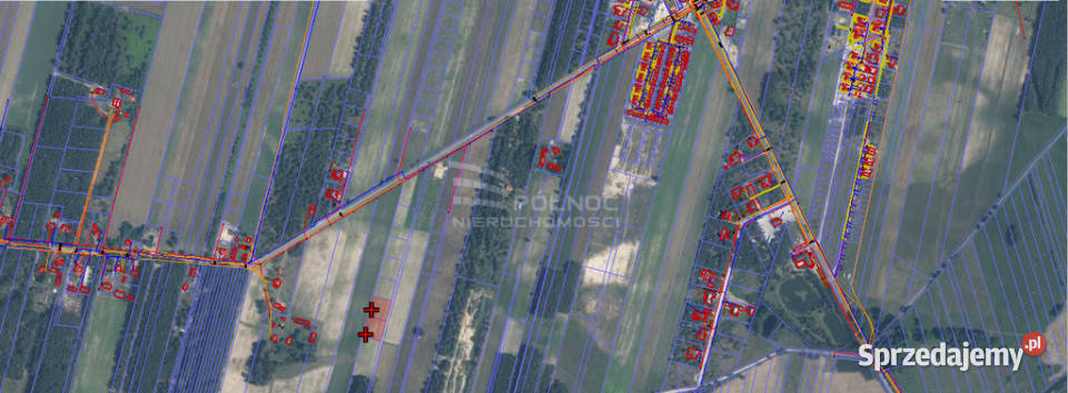 Dwie działki z warunkami zabudowy w Porosiukach polna lubelskie Porosiuki