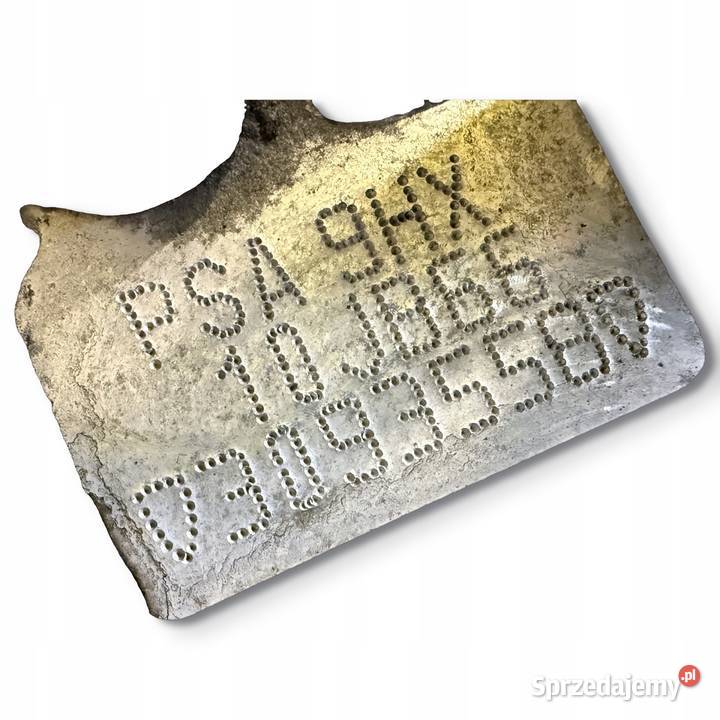 SILNIK 9HX Peugeot 207 307 308 Partner II 16 HDI osobowe Chełm