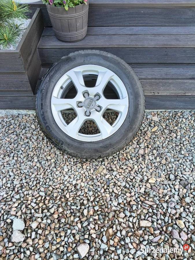 Oryginalne Felgi 16 Audi Średnica 16" Wieprz
