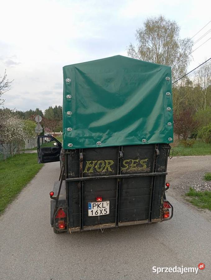 Przyczepa konna Bukmanka