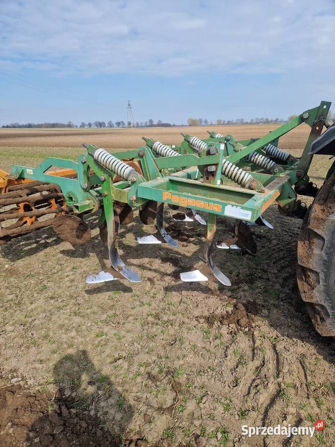 Gruber Amazone Pozostałe Toruń