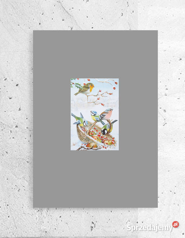 vintage plakat z ptaszkami ptaszki obrazek A4