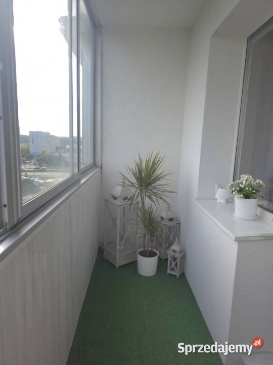 3 Pokoje 627 m z odzielną kuchnią komórką Gdańsk