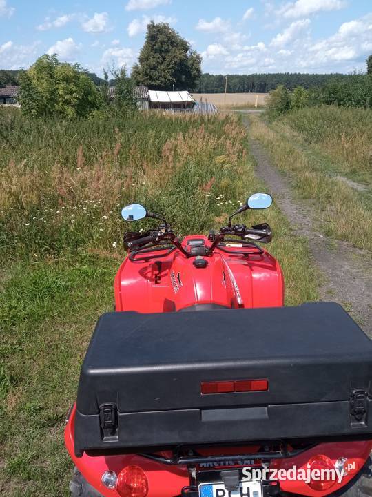 Sprzedam Quada Arctic cat 400