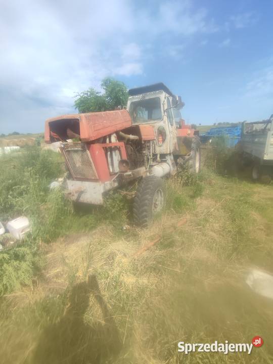 Sprzedam Strzelce Krajeńskie