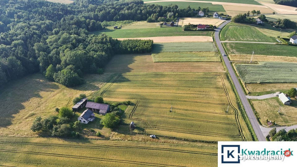 Działka Bystrzyca 23900m2 Sprzedaż sprzedam