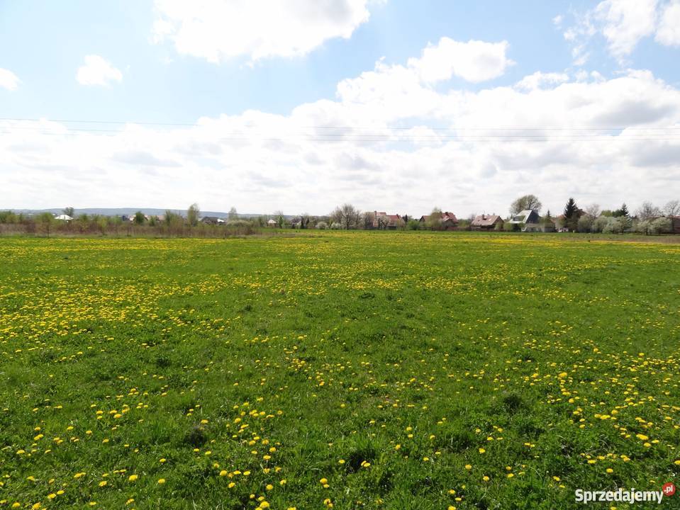Rzeszów 14 arów wjazd Makuszyńskiego