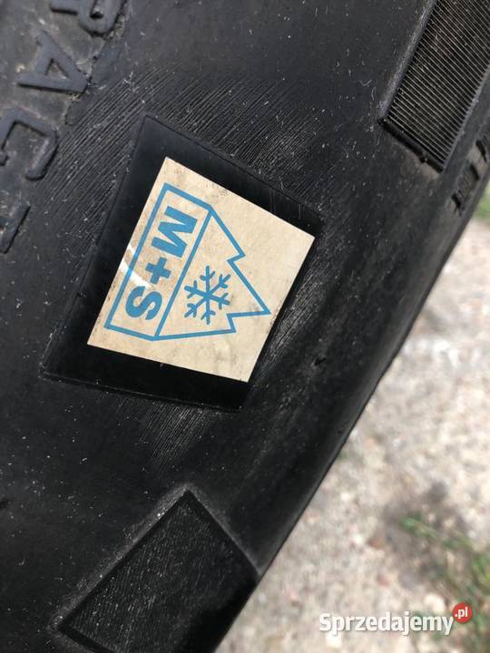 Opony MS Pirelli TR01 31570R225 nowe DOSTAWA całoroczne Jeżowa