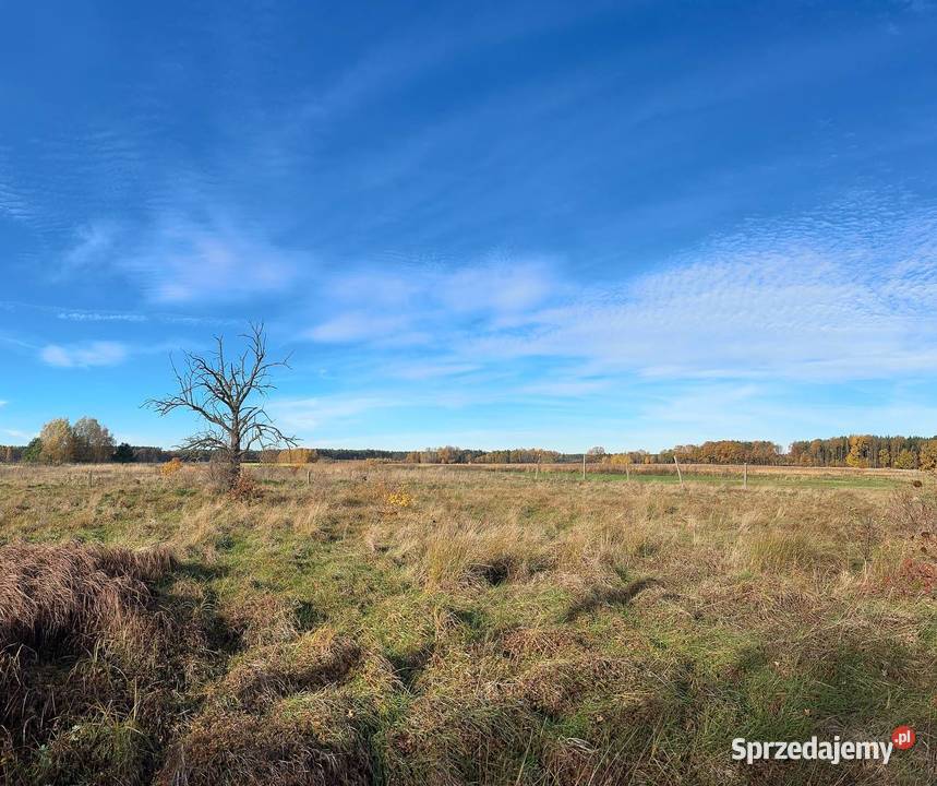 Działka budowlana drodze asfaltowej lubuskie