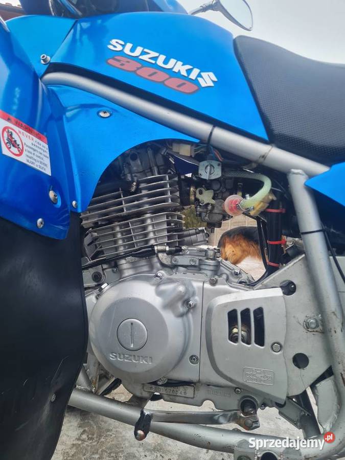 Suzuki nationial motor extreme 300 Pińczów sprzedam
