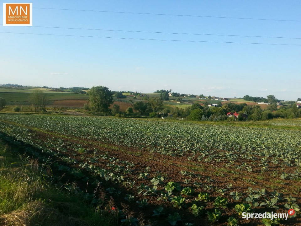 sprzedaży gruntu 1560m2 Wronin prąd małopolskie sprzedam