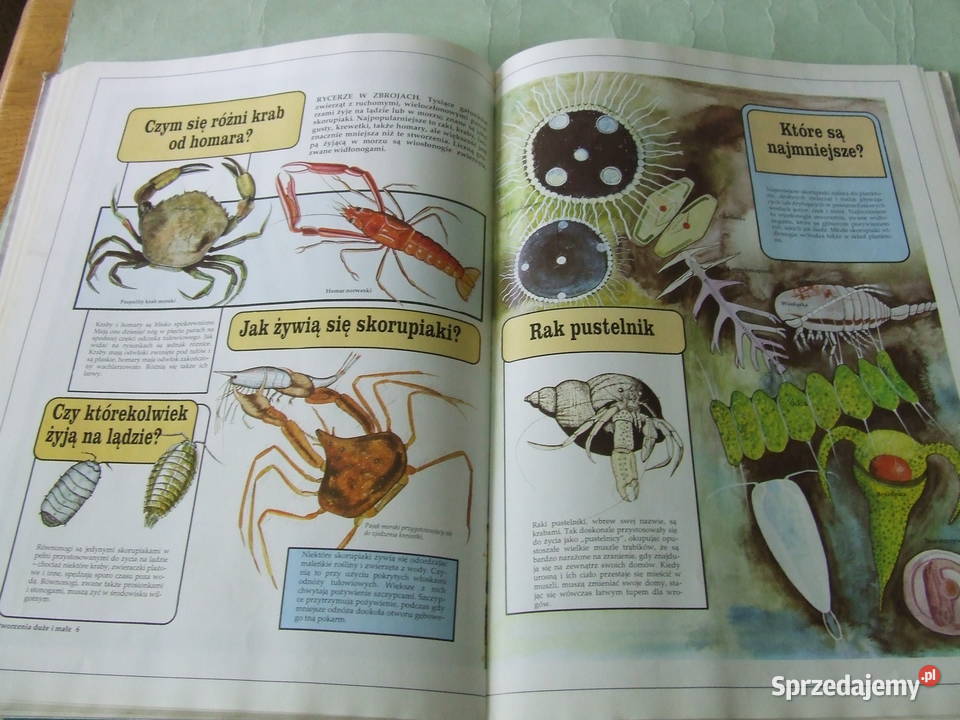 Dinozaury i inne stworzenia Atlas świata Oborniki Śląskie