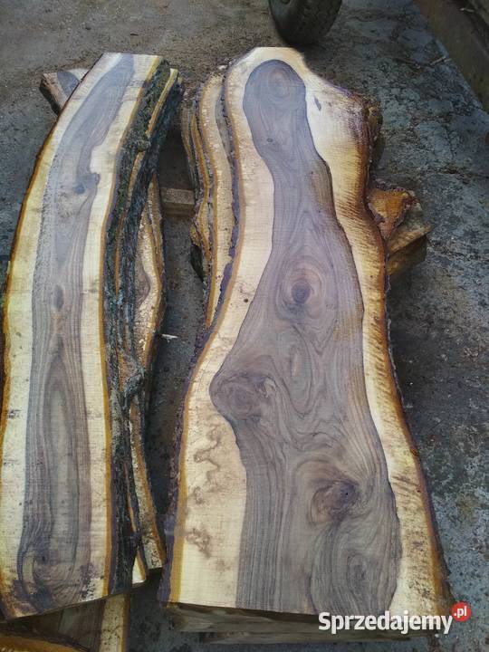 Tarcica orzech monolity WALNUT SLABS Izdebnik