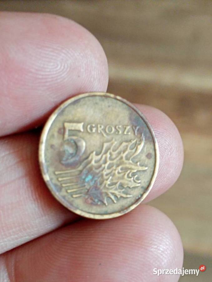 Sprzedam monete 5 gr 1990 Numizmatyka Chełm