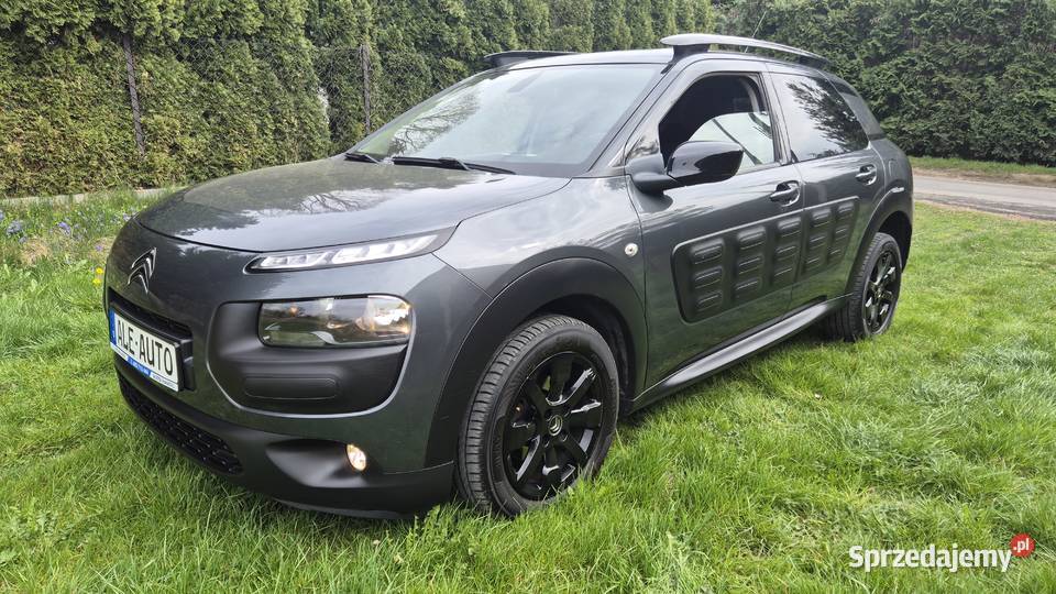 CACTUS 16 110 OPŁACONY BEZWYPADKOWY światła do jazdy dziennej podkarpackie Rzeszów