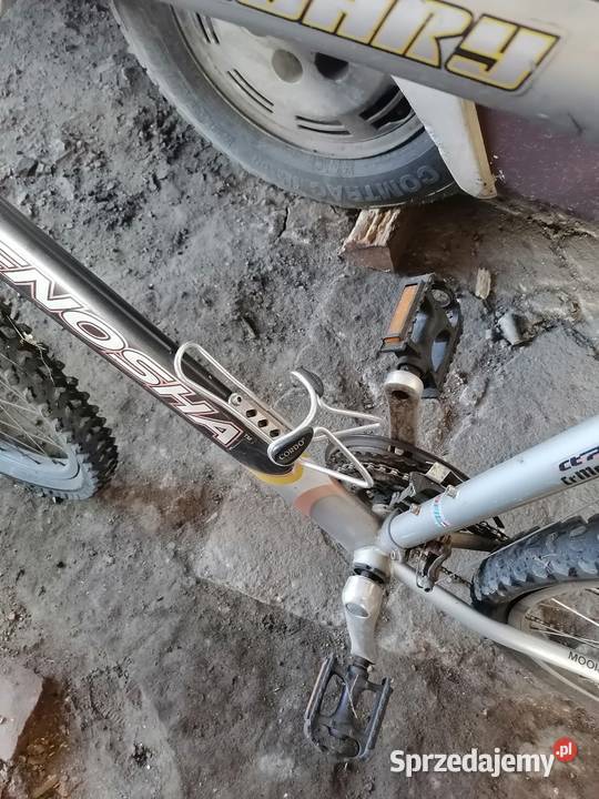 Rower męski Pozostałe wielkopolskie Krotoszyn sprzedam