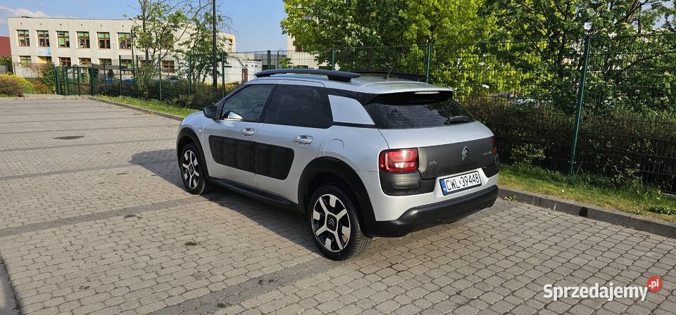 Citroen C4 Cactus przyciemniane szyby Brześć Kujawski