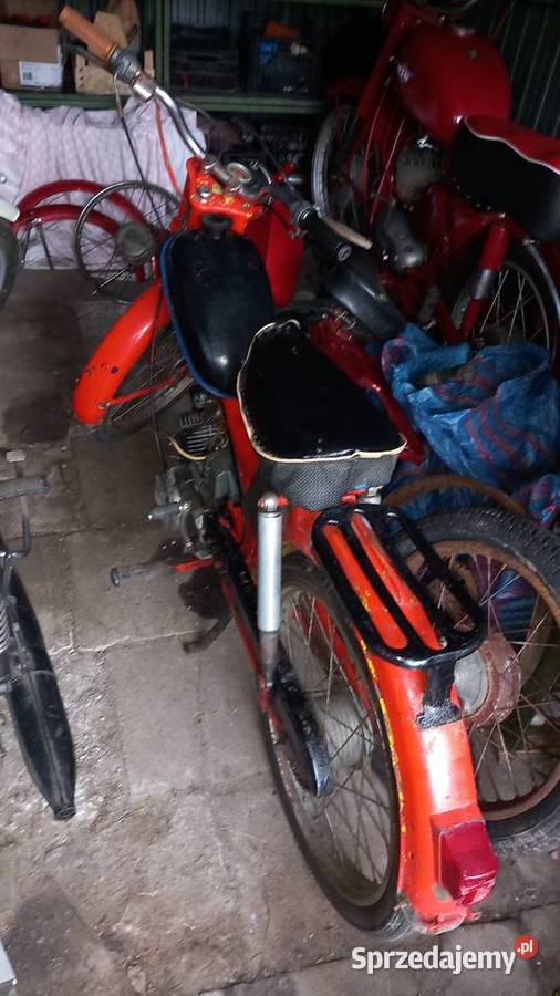 Komar Sprawny Kompletny wielkopolskie Turek