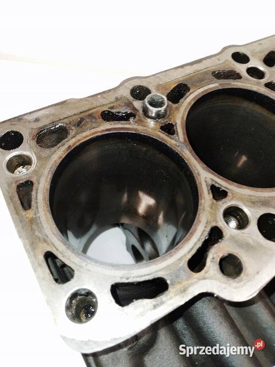 BLOK AWX 038AA 19 TDI PASSAT B5 SUPERB A6 A4 A3 Sosnowiec