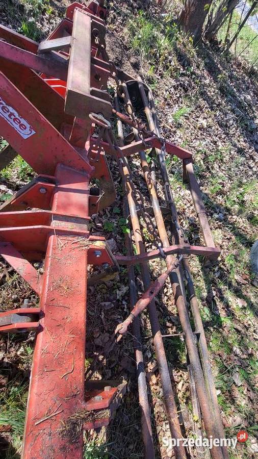 Bezorkowiec nieuszkodzony