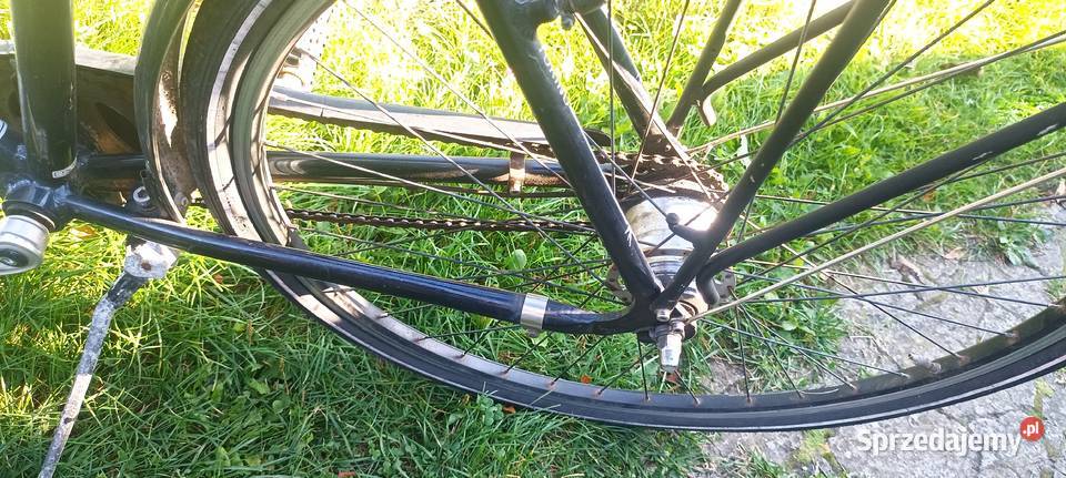 Rower PEGASUS TORINO Pionki