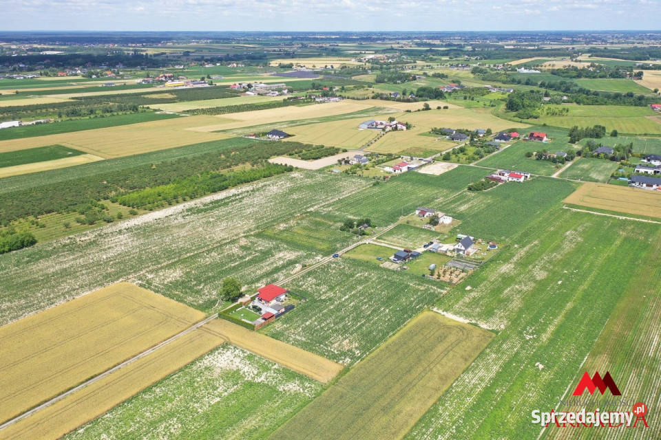 Grunt Szpetal Górny 89925m2 Sprzedaż kujawsko-pomorskie