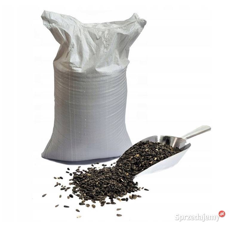 Słonecznik czarny drobny 20 POLSKI wysłka Rolnictwo Włocławek