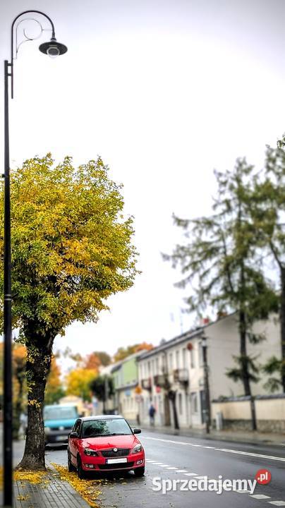 Skoda Fabia Monte Carlo 16 TDI 2012