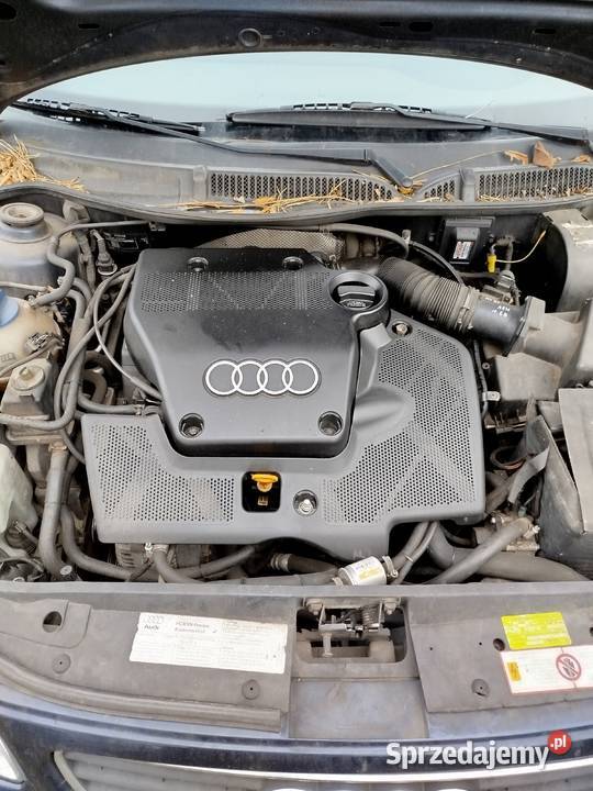 Audi a3 8l wszystkie części Tuliszków