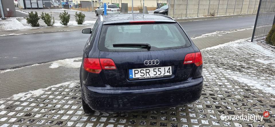 Audi a3 8p sprtback 20tdi 140 BMM sprawdz wielkopolskie Pławce sprzedam