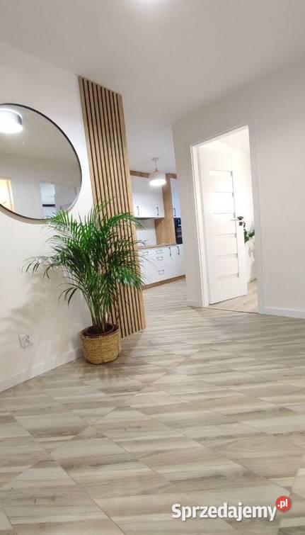 3pok 45met Zaporskiej ROZKŁADPIWNICA Wrocław