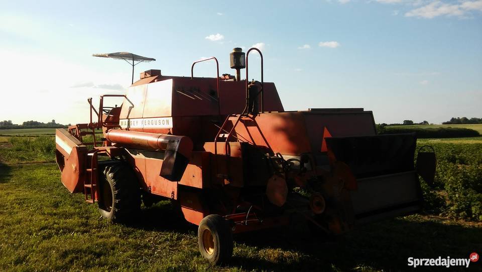 Massey Ferguson 506 Massey Ferguson Tomaszowice