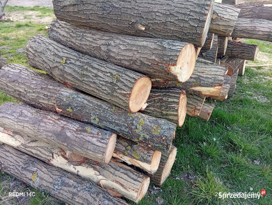 Drewno opałowe liściaste topola olcha wierzba podkarpackie Sarzyna