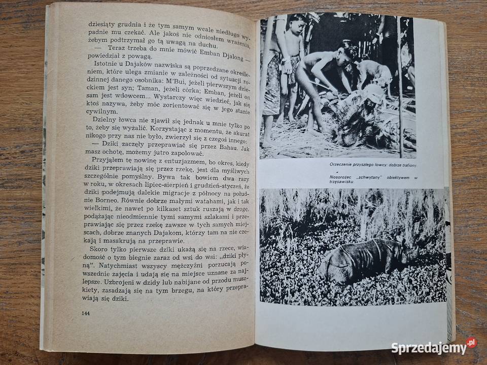 Biwak na Borneo Pierre Pfeffer życie codzienne, obyczaje Kraków sprzedam