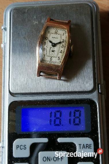 Zegarek zwieda kujawsko-pomorskie Działyń